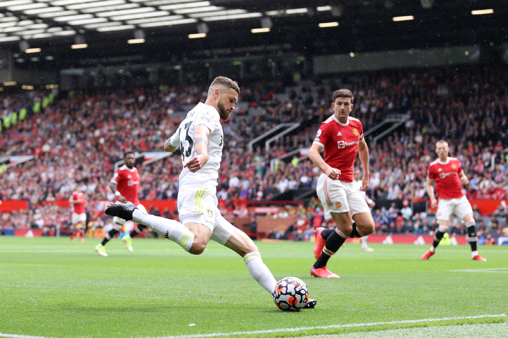 知能力上的 知能力上的