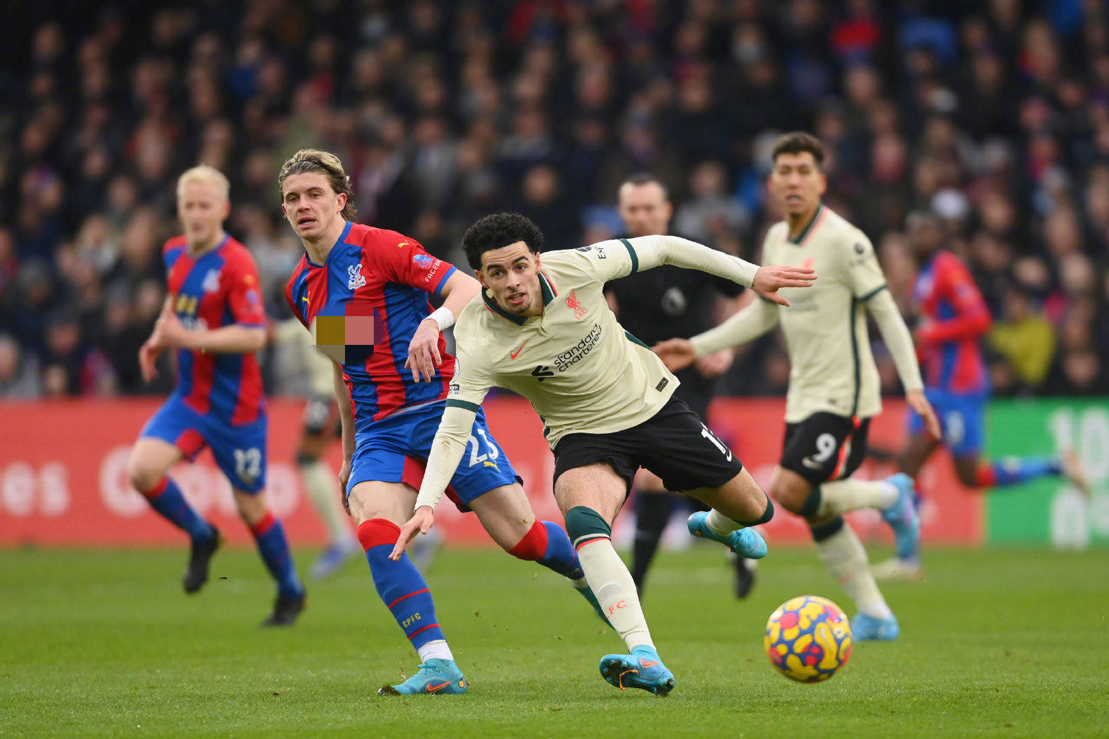 球星的球队 球星的球队