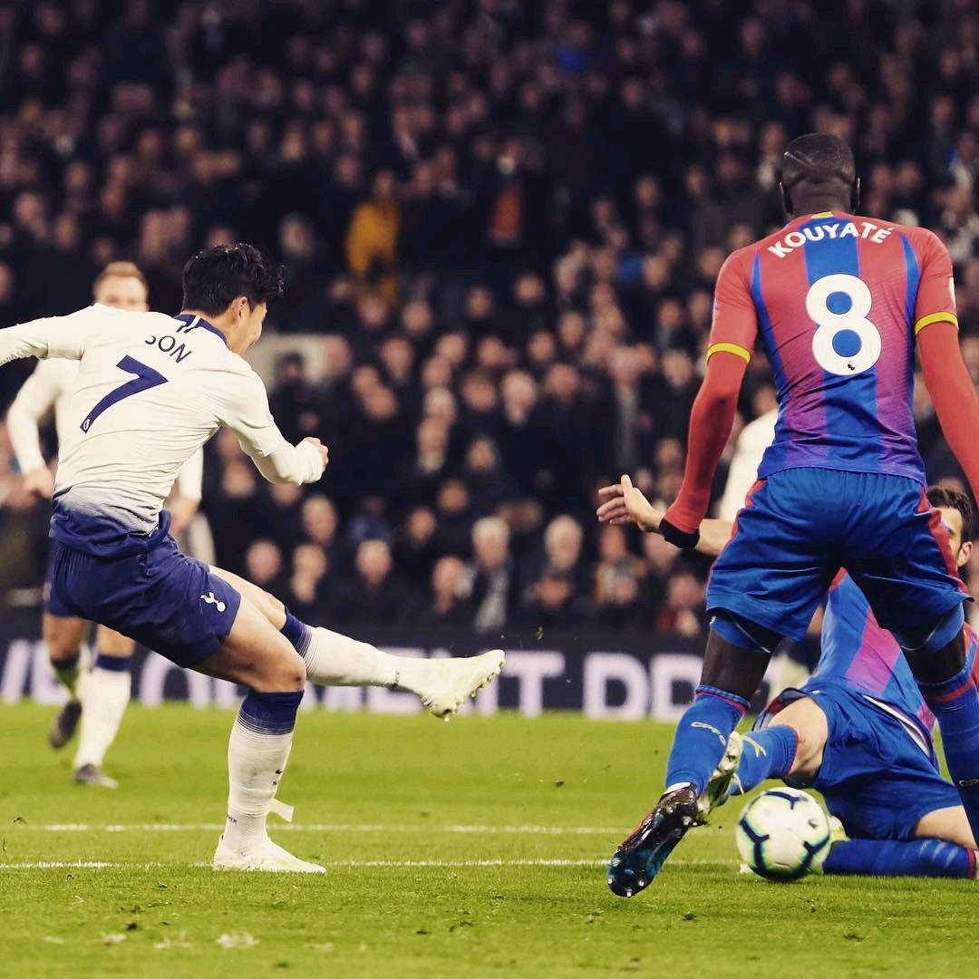 展增添了不 展增添了不